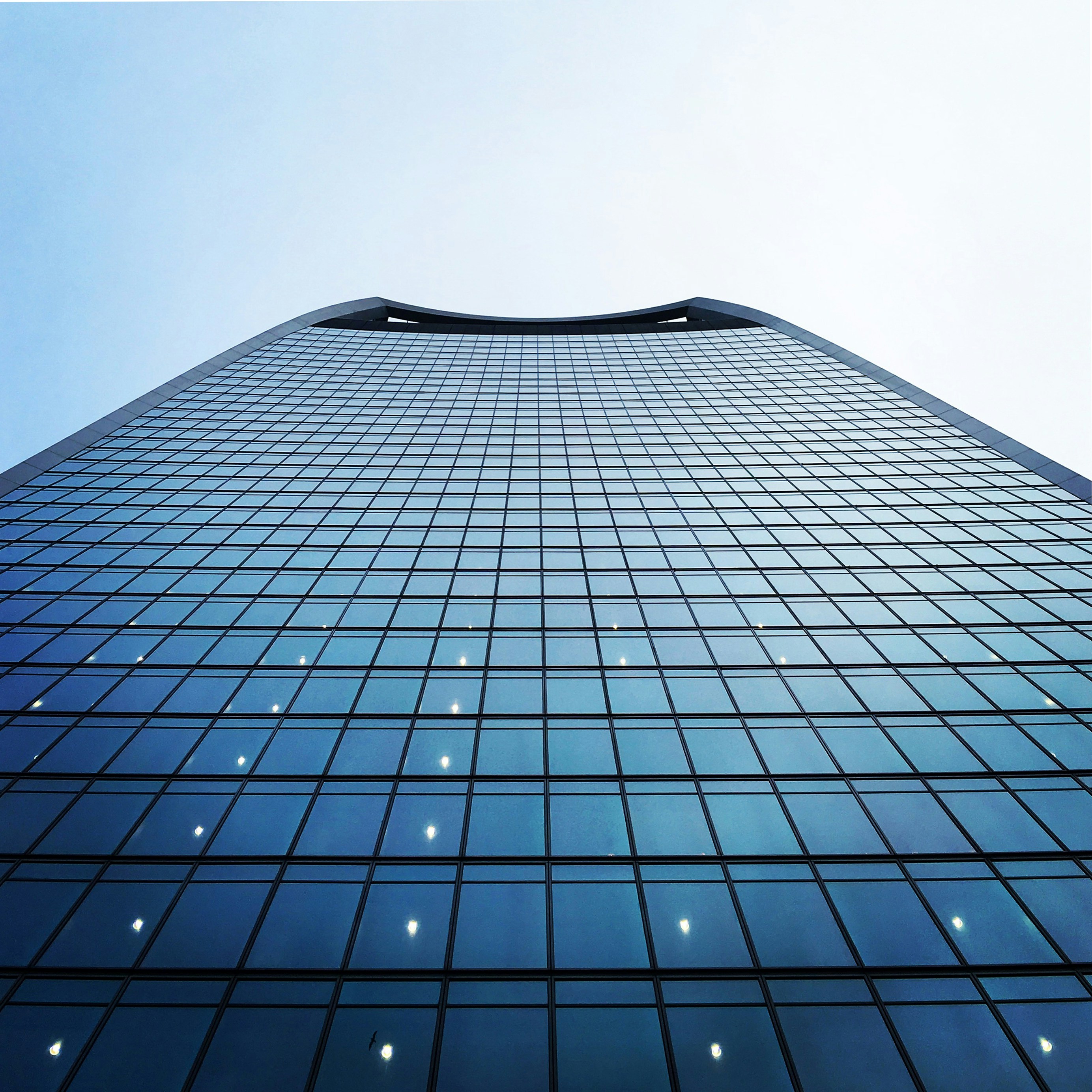 Our team working at the office